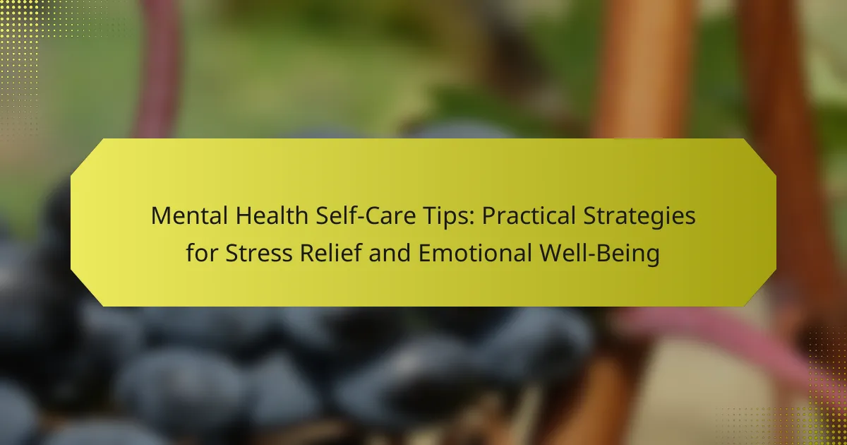 Mental Health Self-Care Tips: Strategies for Stress Relief & Well-Being