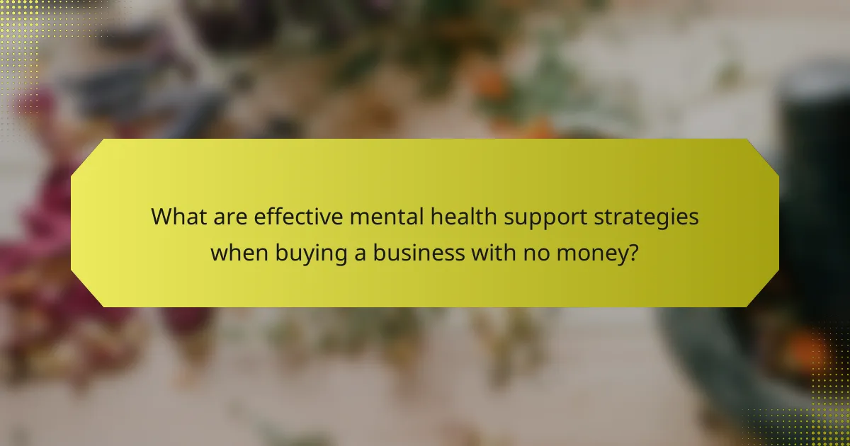What are effective mental health support strategies when buying a business with no money?