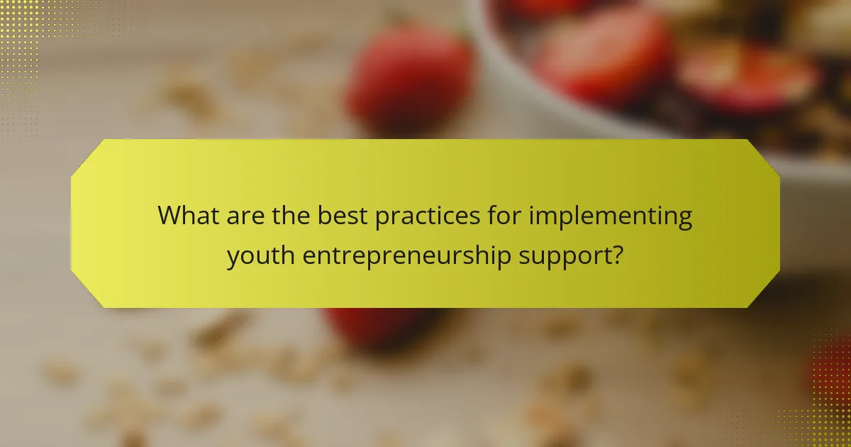 What are the best practices for implementing youth entrepreneurship support?