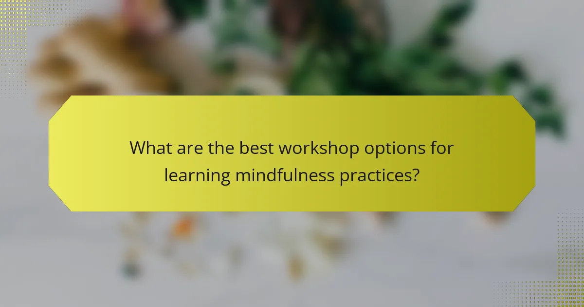 What are the best workshop options for learning mindfulness practices?