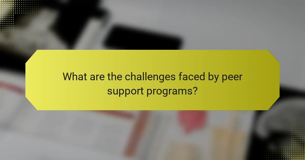 What are the challenges faced by peer support programs?