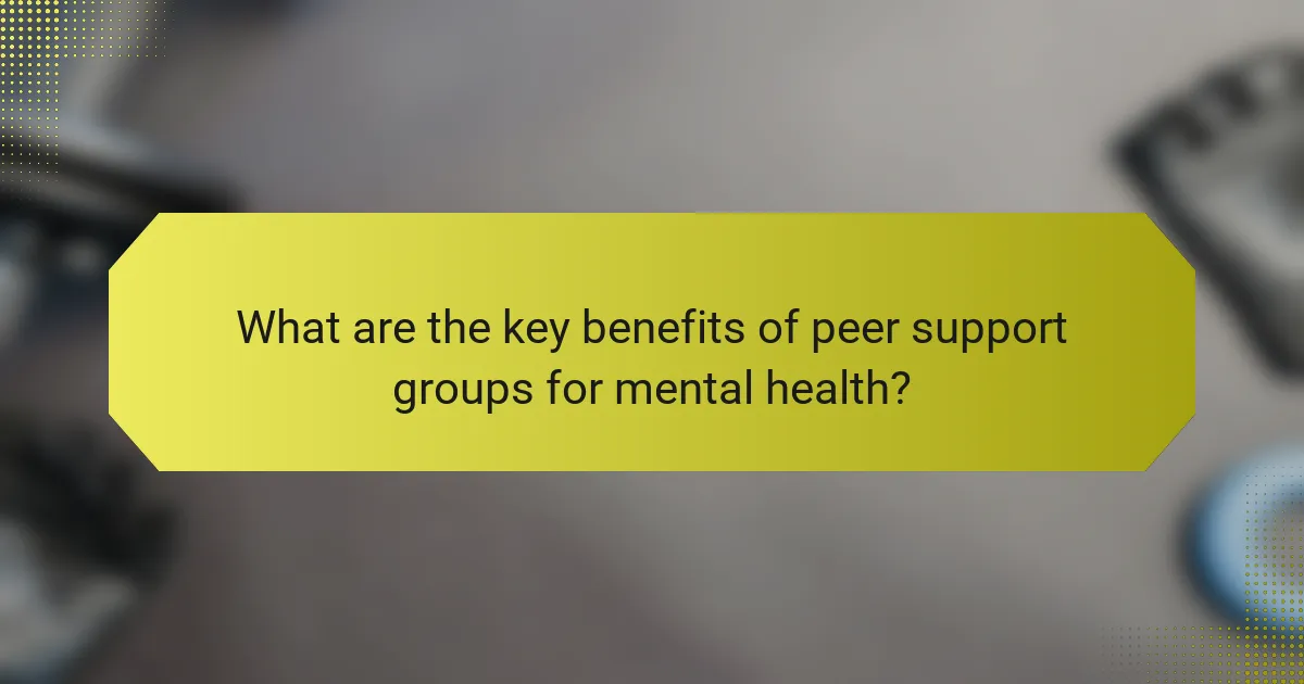 What are the key benefits of peer support groups for mental health?