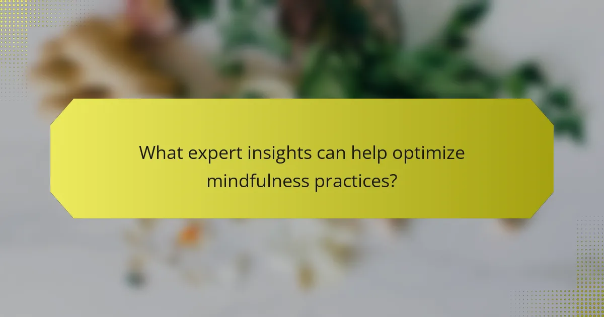 What expert insights can help optimize mindfulness practices?