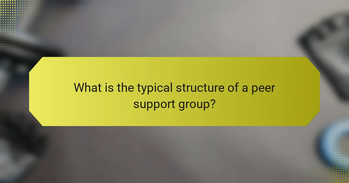 What is the typical structure of a peer support group?