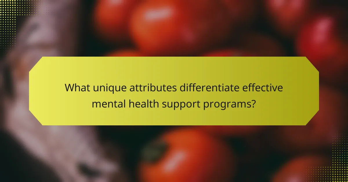 What unique attributes differentiate effective mental health support programs?