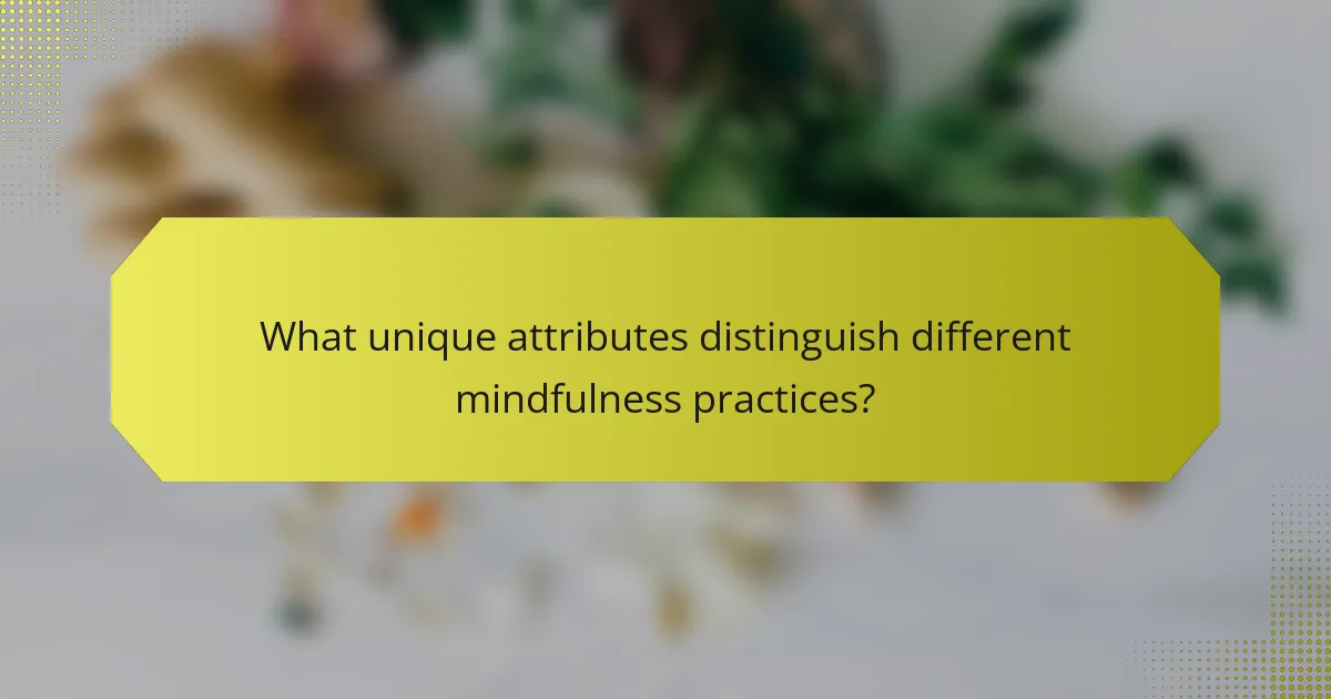 What unique attributes distinguish different mindfulness practices?